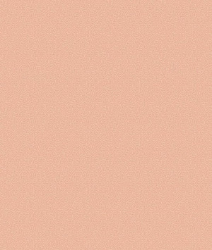 Tapeta dekoracyjna Cole&Son Landscape Plains Coral 106/5075