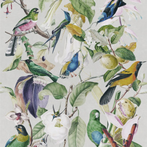 Tapeta MINDTHEGAP The Florist Tropical Birds WP20172