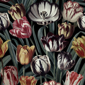 Tapeta MINDTHEGAP The Florist Tulipa WP20177