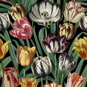 Tapeta MINDTHEGAP The Florist Tulipa WP20178