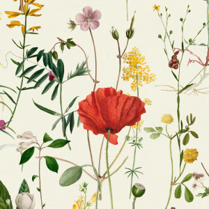 Tapeta MINDTHEGAP The Florist Aquafleur WP20175