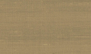 Tapeta Arte Paleo Latus A50515