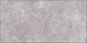 Płytka gresowa Grespania Arles Gris Antislip 30x60 cm 46RLA32