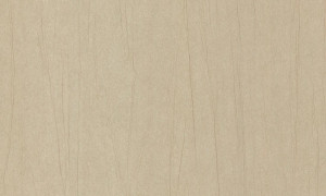 Tapeta Arte Vanguard Plex A93520