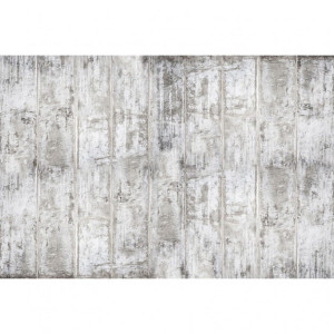 Grafika Les Dominotiers VOLUME 6 - TEXTURES BRUT Grey Concrete Wall DOM430