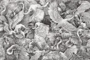Grafika Lorenso Paravis TPA 0224 0064 02