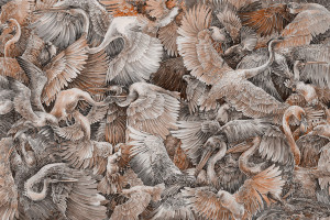 Grafika Lorenso Paravis TPA 0224 0064 03