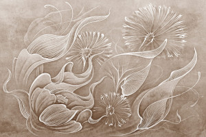 Grafika Lorenso Seedelia TPA 1123 0011 00