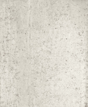 Tapeta Eijffinger Black&Light 356213 (mural)