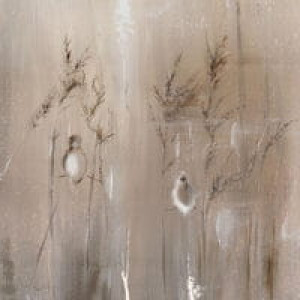 Wall Art Grafika Aves