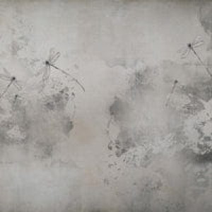 Wall Art Grafika Lestes