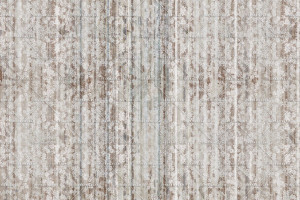 Grafika Instabilelab Sfumature di Magnolia PETITS FLEURS 02