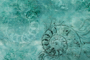 Grafika Instabilelab Sfumature di Magnolia AMMONITI 02
