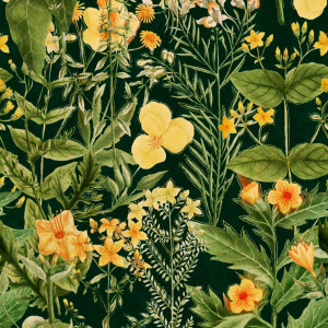Tapeta MINDTHEGAP Florilegium Mimulus Anthracite WP20322