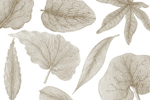 Tapeta RIMURA Giant Leaves VE062-2