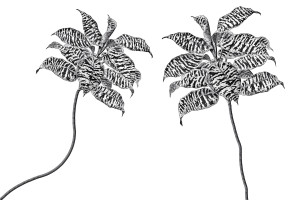 Tapeta RIMURA Oasis VE063-1