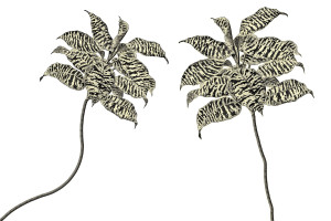 Tapeta RIMURA Oasis VE063-3