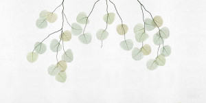 Tapeta RIMURA Skeleton leaf VE161-1