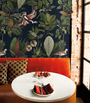 Wallcolors Tapeta Orange bird