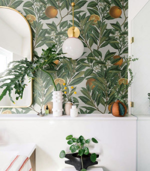 Wallcolors Tapeta Orange Tree