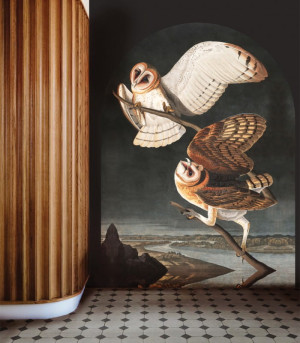 Wallcolors Tapeta Owls