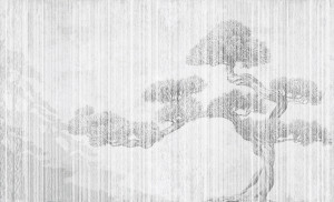 Fototapeta Wall and more Bonsai 2406 22B