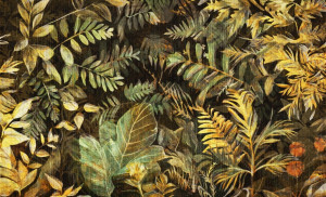 Fototapeta Wall and more Ivy 2423 24A