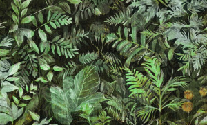 Fototapeta Wall and more Ivy 2424 24B