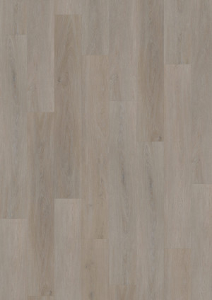 Podłoga winylowa ONEFLOR Solide Click 55 English Oak Greige OFR-055-060