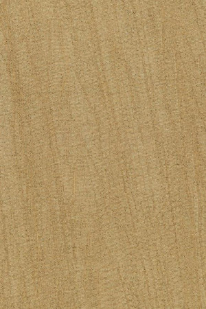 Tapeta Arte Emblème Pristine Antique Gold 23525A