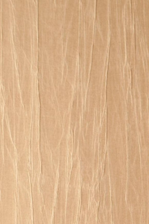 Tapeta Arte Emblème Pyxis Ginseng A38005A