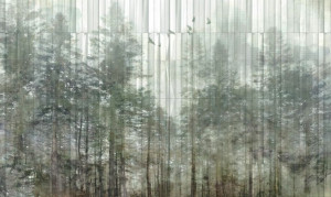 Fototapeta Wall and More TAIGA 25119 14B