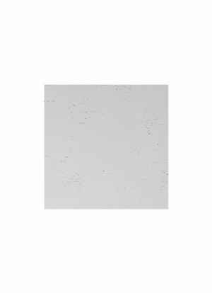 VHCT Beton architektoniczny 2D Classic PB00 60x60x2 cm