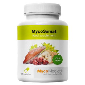 MycoSomat MycoMedica - Pomaga przywrócić równowagę wewnętrzną - 90 kapsułek