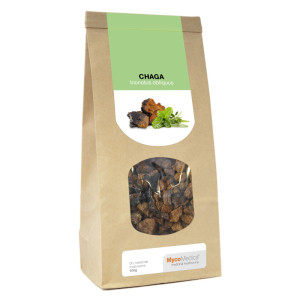 Chaga Grzyby suszone MycoMedica - Wspiera układ trawienny - 100 g