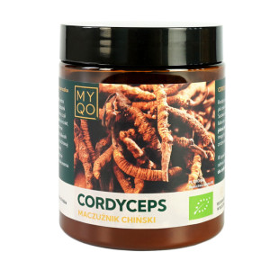 Maczużnik Chiński Cordyceps BIO MYQO 30% w proszku - 100 g