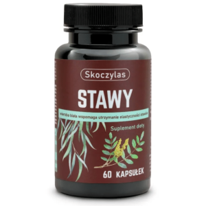Stawy Skoczylas - Wierzba biała wspomaga utrzymanie elastyczności stawów - 60 kapsułek