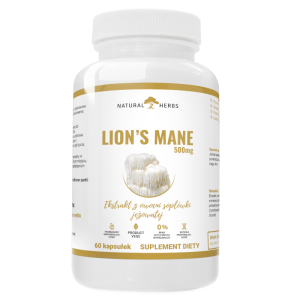 Lion's mane 500mg Alto Pharma - Ekstrakt z owocni soplówki jeżowatej - 60 kapsułek