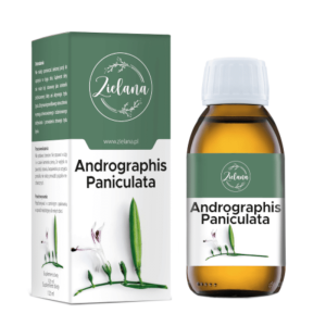 Andrographis Paniculata Zielana - Odporność i metabolizm -125ml