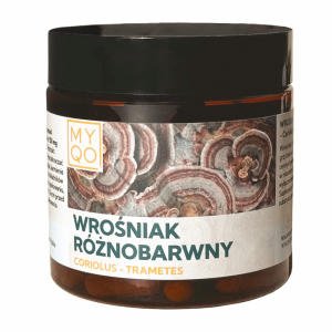 Wrośniak różnobarwny Coriolus 500 mg 30% polisacharydów MYQO - 90 kapsułek