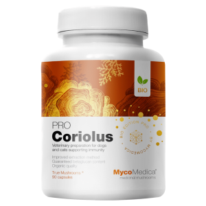 Coriolus PRO 35% MycoMedica - Wrośniak różnobarwny - 90 kapsułki