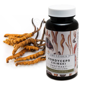 Kordyceps chiński 50g