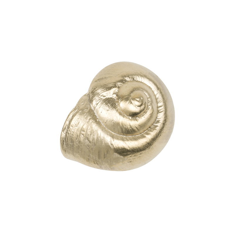 Artystyczna Mosiężna Gałka Meblowa Shell - PAP DECO