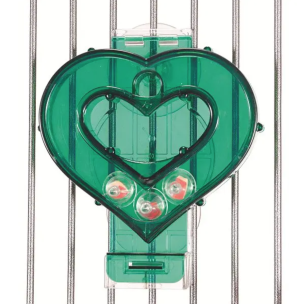 Pyszności od serca- zabawka interaktywna dla wszystkich papug