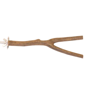 Żerdź naturalna dla papug Y rozmiar M - 30cmx2cm
