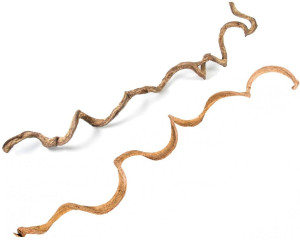 Naturalna Liana dla wszystkich PaPug 100 cm długości, średnica 1cm rozm.XS