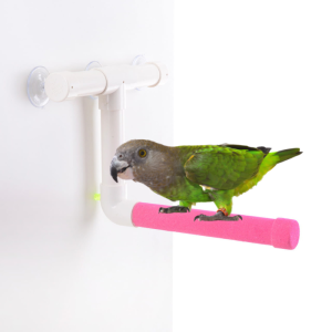 Żerdź pod prysznic M dla średnich papug