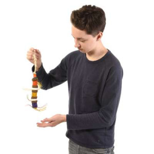 Kukurydziany Kebab dla wszystkich papug