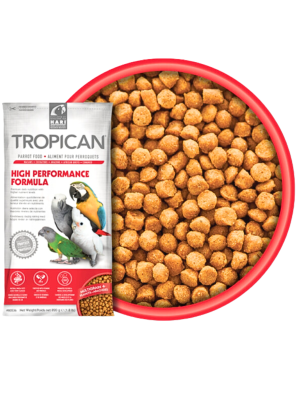Hagen Hari Tropican Parrot High Performance Granules - Pokarm przejściowy lub codzienny w diecie o zwiększonym zapotrzebowaniu na wartości odżywcze (m