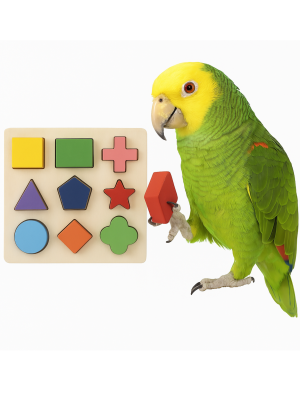 Geometryczne Puzzle | Układanka Logiczna dla wszystkich papug